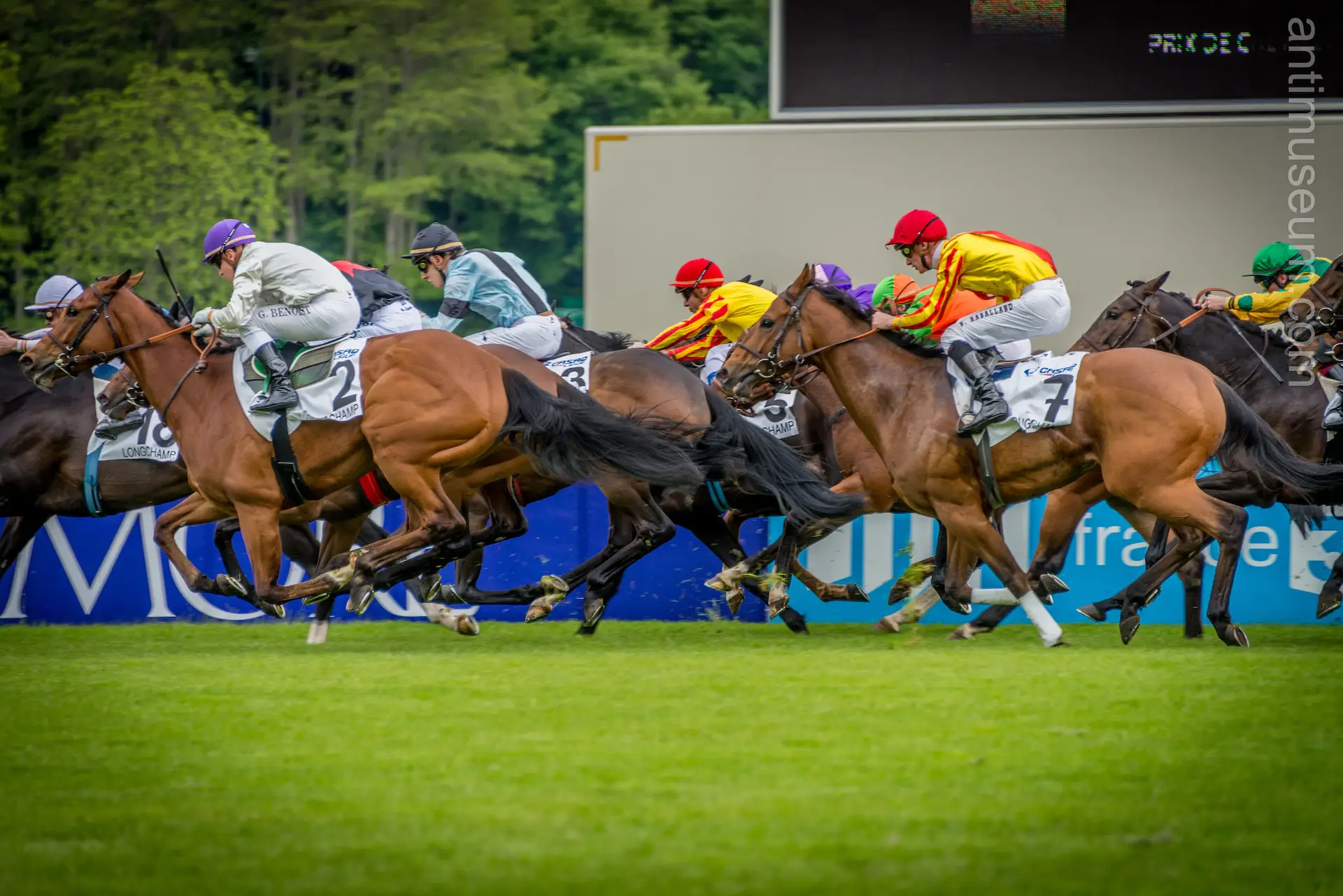 Yann Gourvennec Photographe